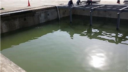 Swimming Pool Treatment