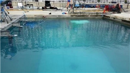 Swimming Pool Treatment